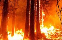 Incendios en la región de Valparaíso, el límite entre un acto natural o derechamente acto terrorista.
