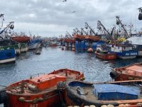 Lebu: Flota redera artesanal de pez espada es capacitada para implementar dispositivos acústicos “pingers” que ayuden a reducir la captura incidental de mamíferos marinos