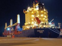 Terminal Puerto Coquimbo se consolida en transferencia de carga break bulk
